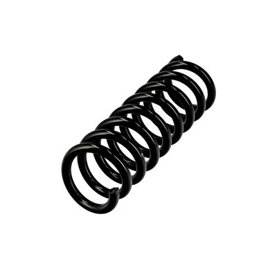 ARC SPIRAL EIBACH R10075 3