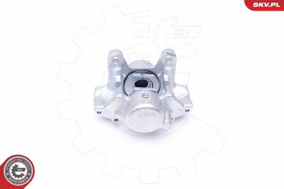 Brake Caliper 45SKV493