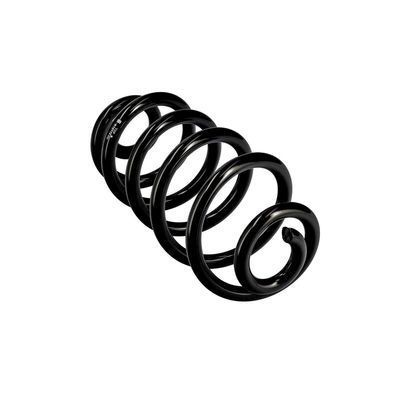 ARC SPIRAL EIBACH R10114 11