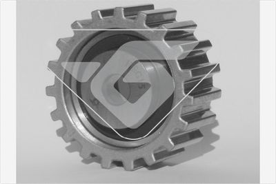 ROLA GHIDARE/CONDUCERE CUREA DISTRIBUTIE