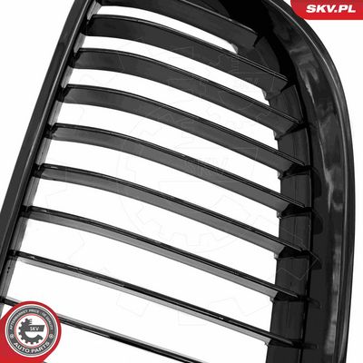 GRILA RADIATOR ESEN SKV 66SKV112 7