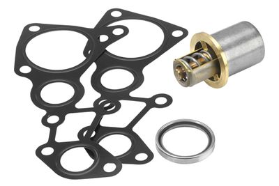 BorgWarner (Wahler) 410763.82D BorgWarner (Wahler) 410763.82D