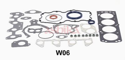 SET GARNITURI COMPLET MOTOR ASHIKA 490WW06 1