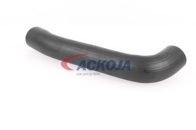 FURTUN EAR SUPRAALIMENTARE ACKOJA A379602 40