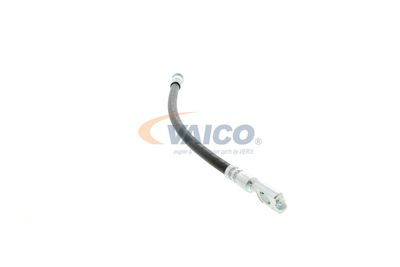 FURTUN FRANA VAICO V104127 45