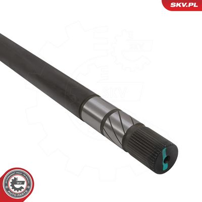Piedziņas vārpsta