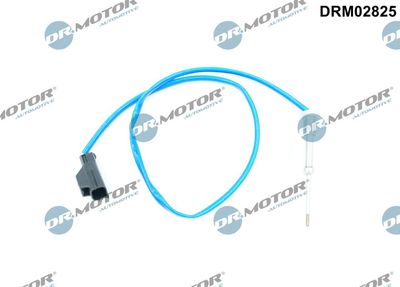 Sensor, exhaust gas temperature DRM02825