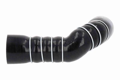 FURTUN EAR SUPRAALIMENTARE ACKOJA A389603 1