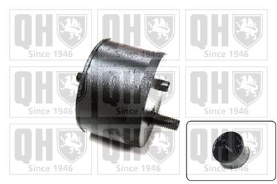 Подвеска, двигатель QUINTON HAZELL EM1516 для AUSTIN METRO