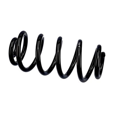 ARC SPIRAL EIBACH R10553 20