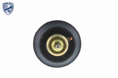 TERMOSTAT LICHID RACIRE VEMO V15992068 4