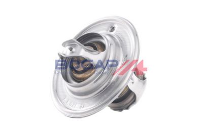 TERMOSTAT LICHID RACIRE