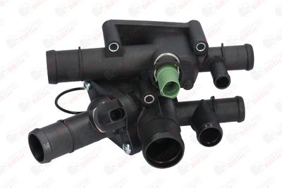 FLANSA LICHID RACIRE BIRTH 80445 1