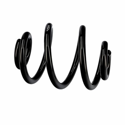 ARC SPIRAL EIBACH R10030 8