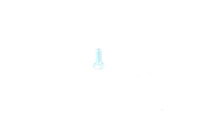 SURUB SISTEM DE ESAPAMENT