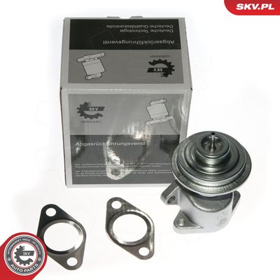 AGR - Ventil ESEN SKV 14SKV049