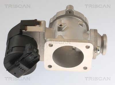 AGR-Клапан TRISCAN 8813 11020