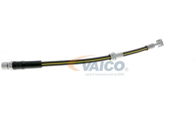 FURTUN FRANA VAICO V404110 37