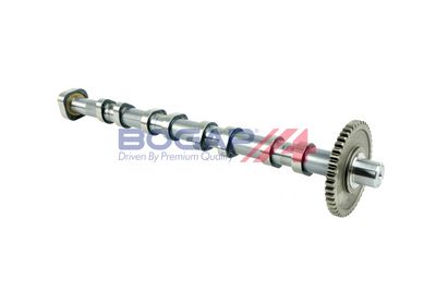 AX CU CAME BOGAP A1331101 5