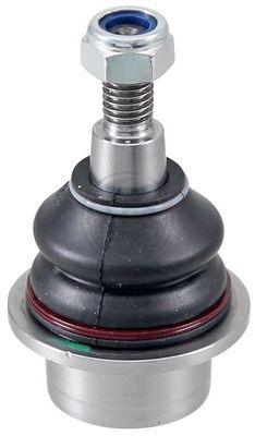 Šarnyras / girgždukas