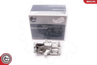 Brake Caliper 34SKV103