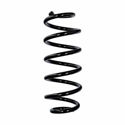 ARC SPIRAL EIBACH R11107 25