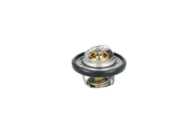 TERMOSTAT LICHID RACIRE NRF 725544 39