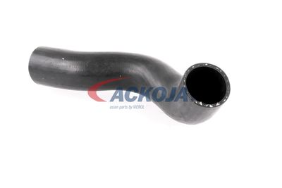 FURTUN EAR SUPRAALIMENTARE ACKOJA A380307 16