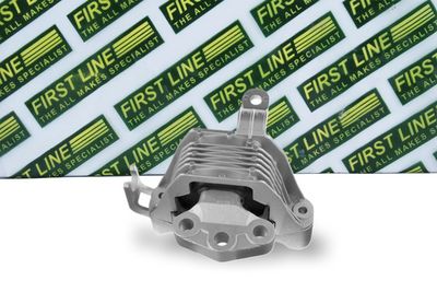 окачване, двигател FIRST LINE FEM4348