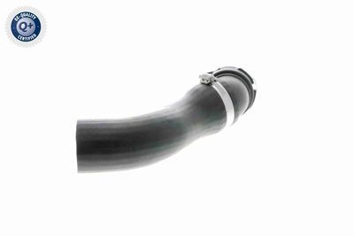 FURTUN EAR SUPRAALIMENTARE VAICO V201620 4