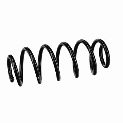 ARC SPIRAL EIBACH R11107 6