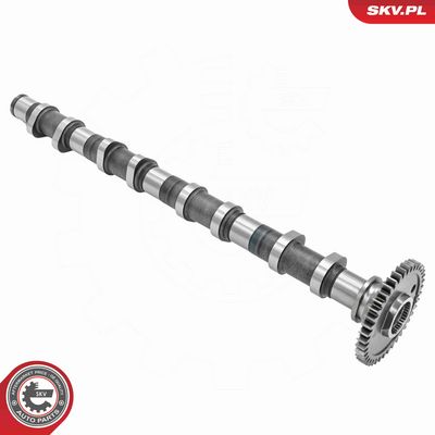 AX CU CAME ESEN SKV 80SKV056 1