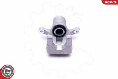 Brake Caliper 46SKV823