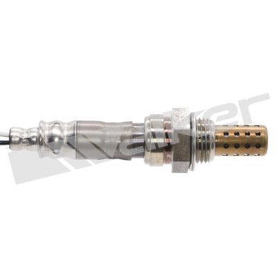 LAMBDASONDE WALKER PRODUCTS 25024904 1