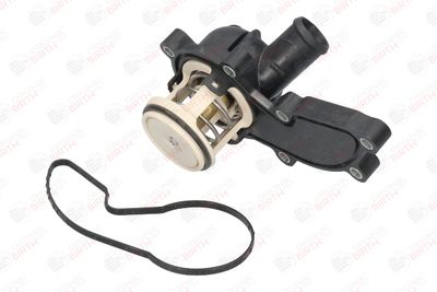 FLANSA LICHID RACIRE BIRTH 80179 9