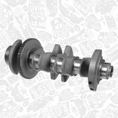 ARBORE COTIT ET ENGINETEAM HK0216 2