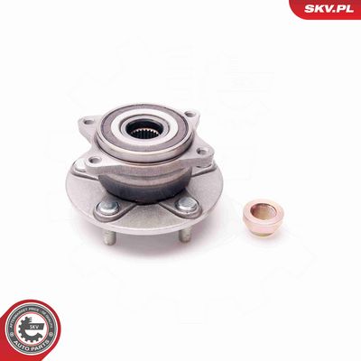 SET RULMENT ROATA ESEN SKV 29SKV037 1