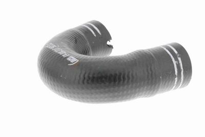 FURTUN EAR SUPRAALIMENTARE VAICO V240804 6