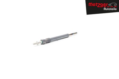 BUJIE INCANDESCENTA METZGER AUTOTEILE H5209 15