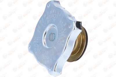 BUSON RADIATOR BIRTH 8088 2