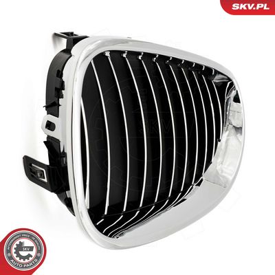 GRILA RADIATOR ESEN SKV 66SKV168 6