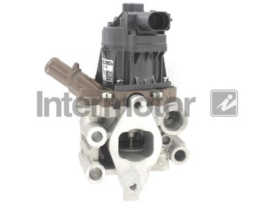 EGR Valve Intermotor 18073