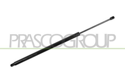 GASFEDER KOFFER-/LADERAUM