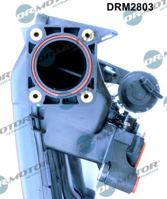 Intake Manifold Module DRM2803