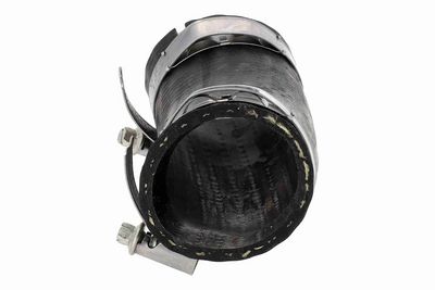 FURTUN EAR SUPRAALIMENTARE ACKOJA A520877 4