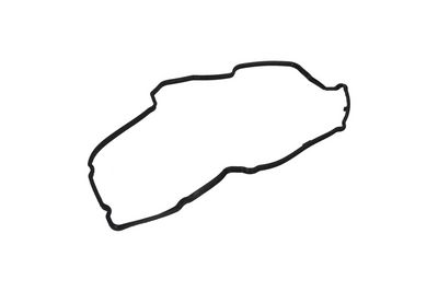 GARNITURA CAPAC SUPAPE