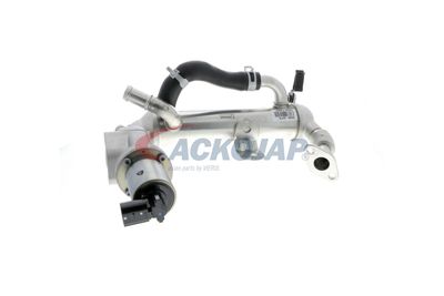 MODUL-EGR ACKOJA A52630018 58