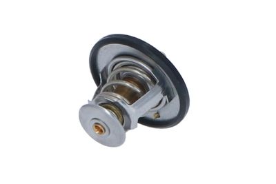 TERMOSTAT LICHID RACIRE NRF 725087 31