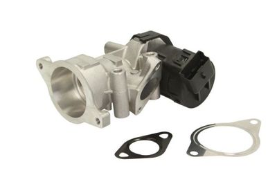 EGR Valve ENT500055