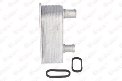 RADIATOR ULEI ULEI MOTOR BIRTH 80041 10